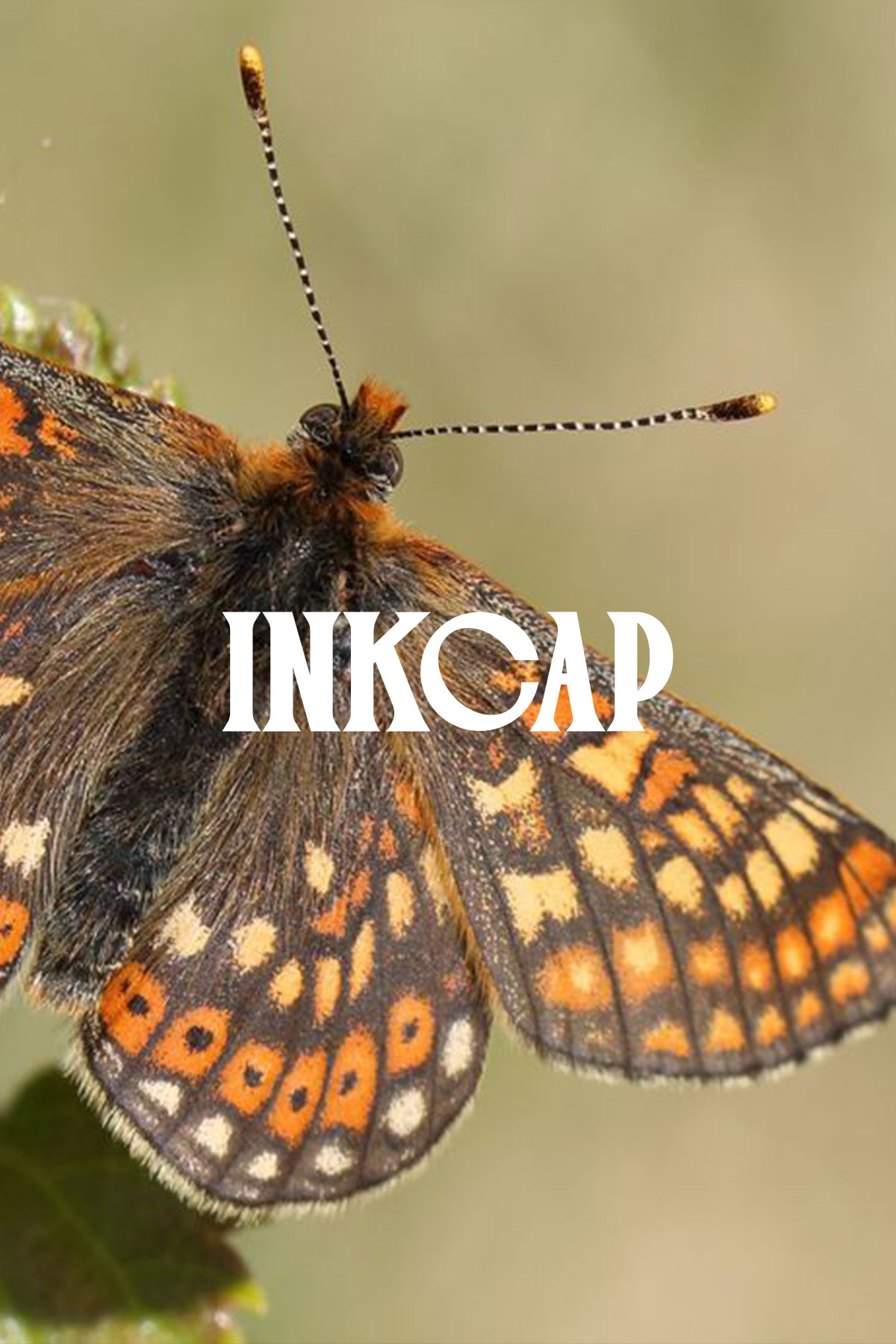 Inkcap Journal