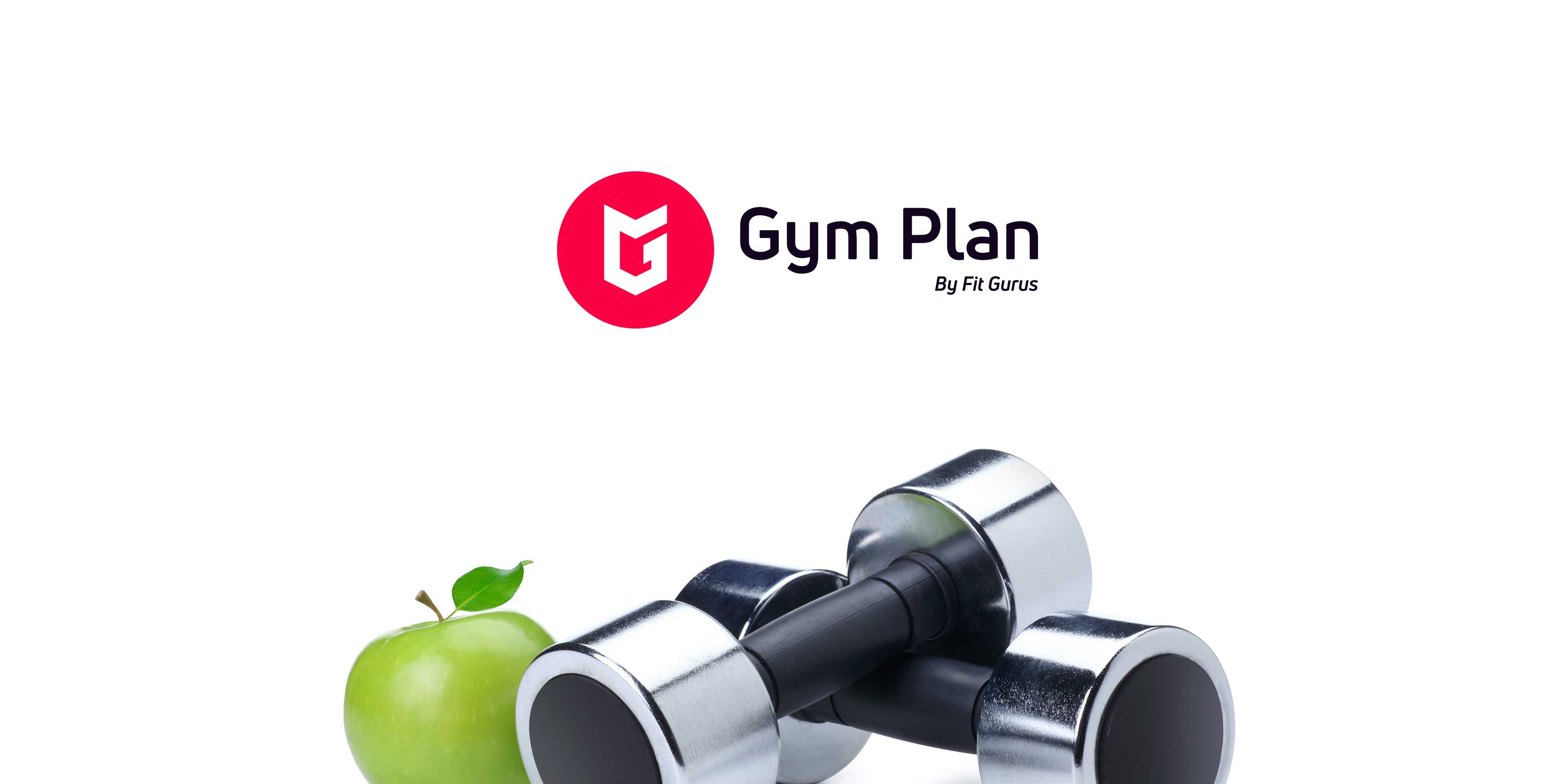 Gym Plan by Fit Gurus